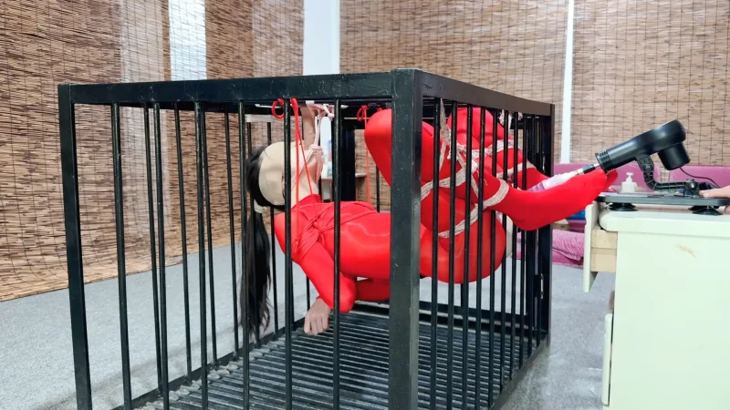 笼中悬吊的瑾初