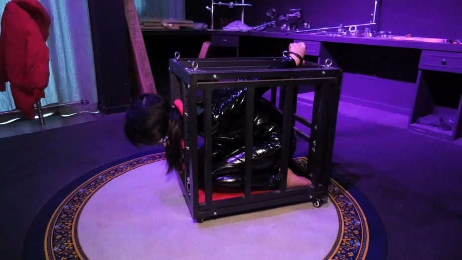 《这么小的笼子也能锁M》女M被戴上大号口球锁在狭小的笼子里以及戴上K9连体颈手脚枷禁锢