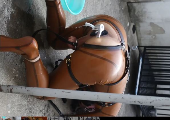 胶衣k9调教，灌肠、水龙头、关笼、爬行