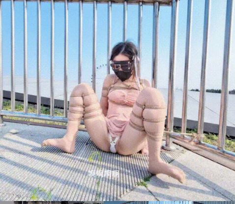 「小狗の饲育日记」春日游园，远处是浪漫的摩天轮，近处是狼狈的小狗