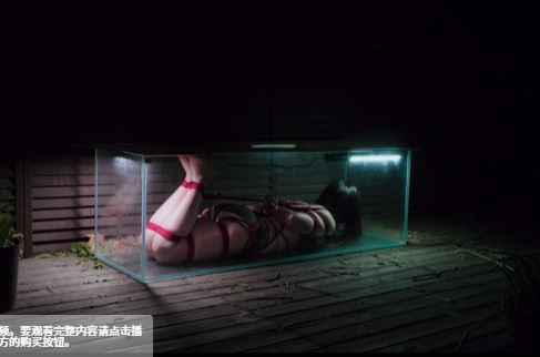 【奎因】 驷马展示灯箱 3合一