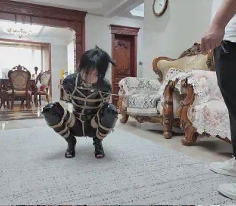 菜鸟特工