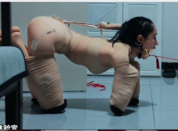 美人儿犬